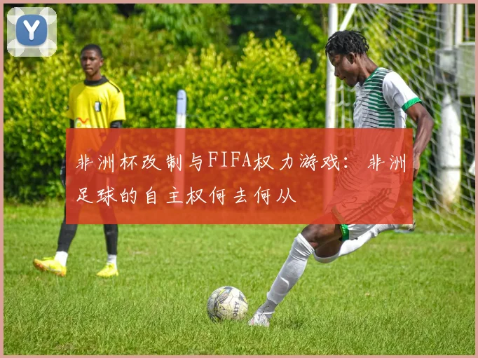 非洲杯改制与FIFA权力游戏：非洲足球的自主权何去何从